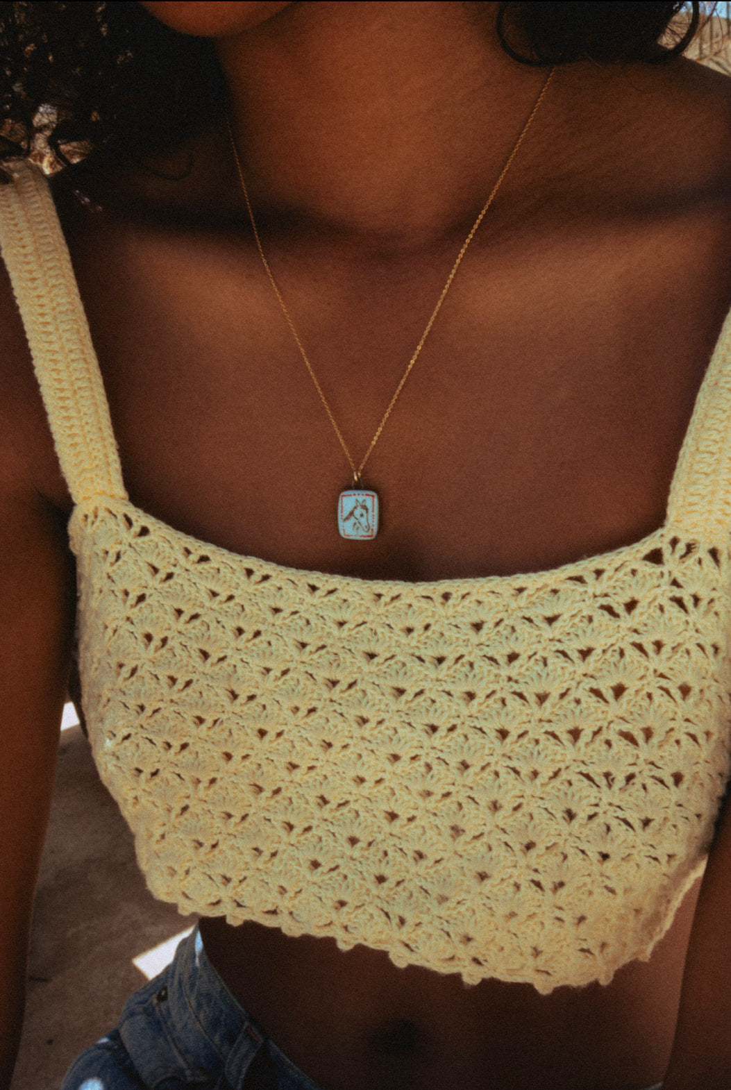 Yellow Horse Portrait Charm