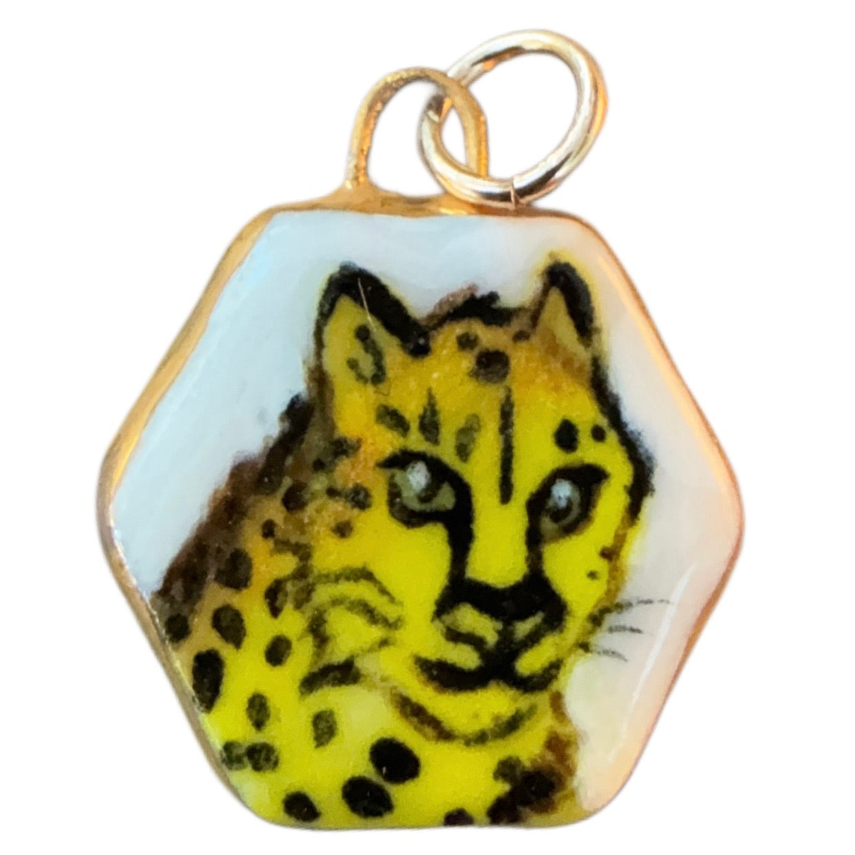 Jaguar Hexagon Charm