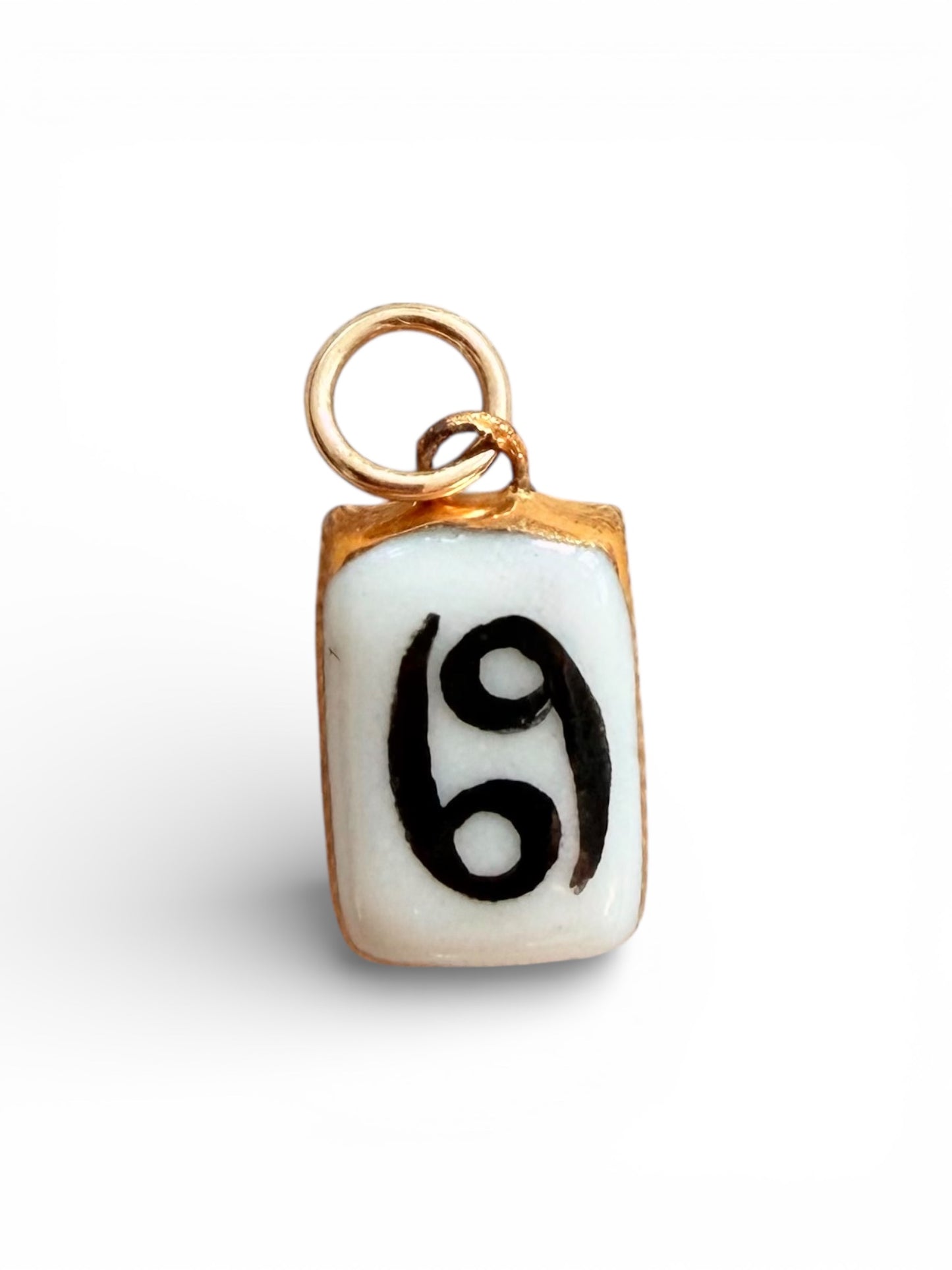 Astrological Star Sign Charms