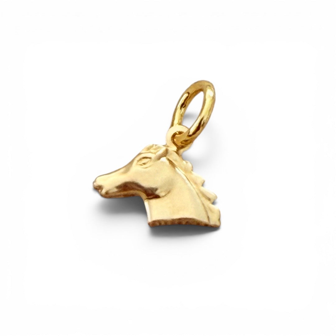 Western 14k Gold Filled Charms
