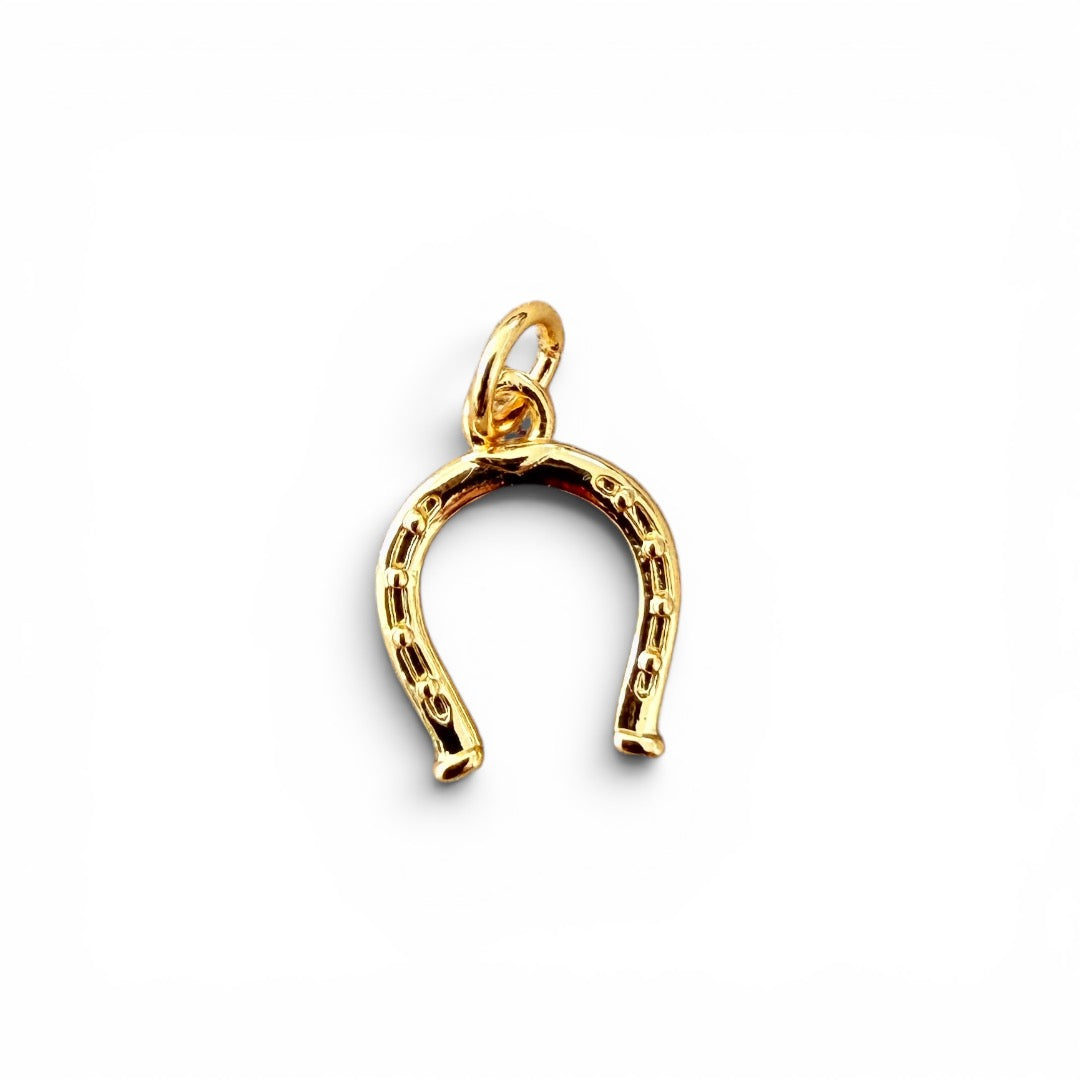 Western 14k Gold Filled Charms