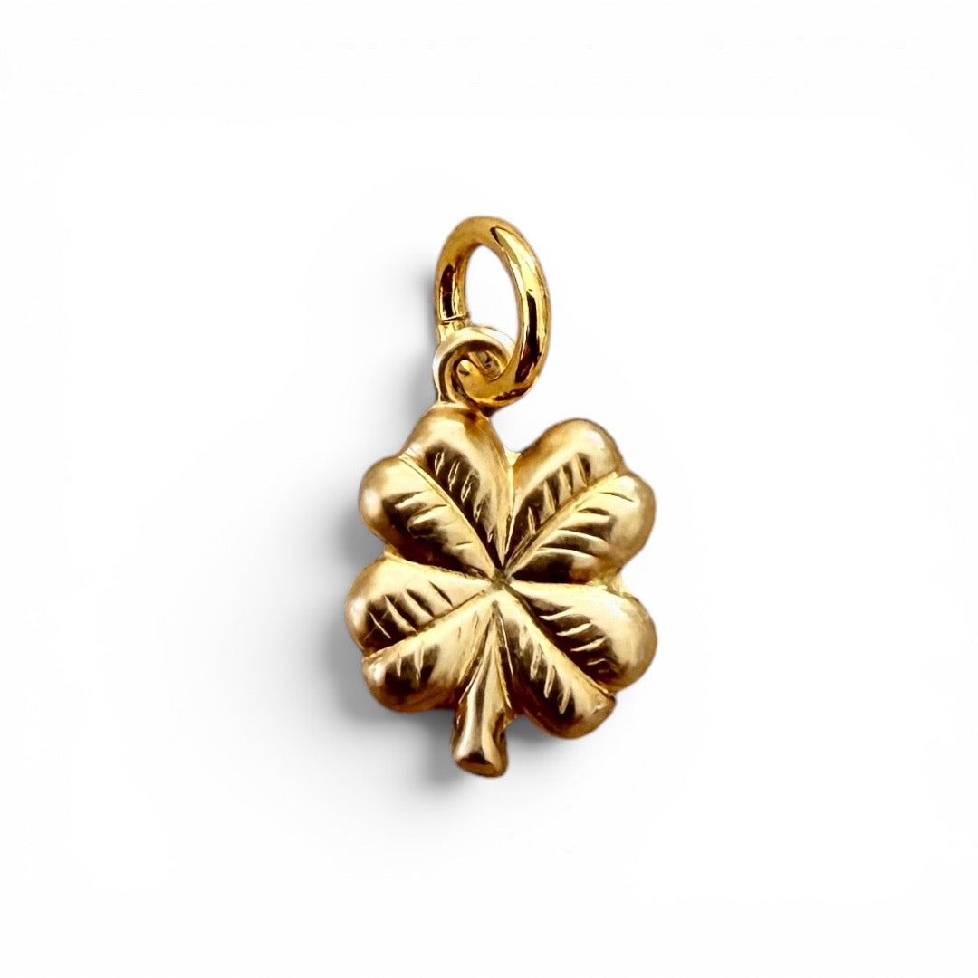 Western 14k Gold Filled Charms