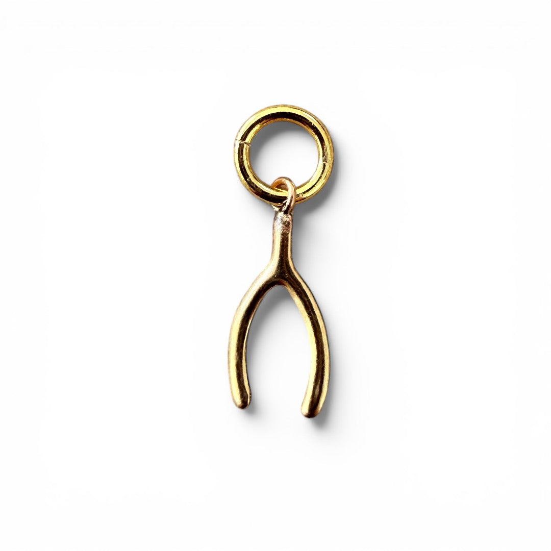Western 14k Gold Filled Charms